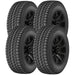 Accelera Epsilon A/T 1200049393