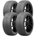 Accelera Iota EVT 1200064448