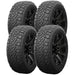Accelera Omikron C/T 1200052927