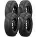 Accelera Omikron HT 1200045271