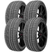 Accelera X-Grip N 1200047961