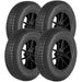 Omni Classic 787 OWG1340