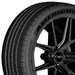 Americus Recon Sport AMD1205