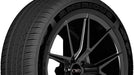 Americus Recon Tour AMD3165