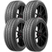Armohero FalconClaw 2KAHA050Y