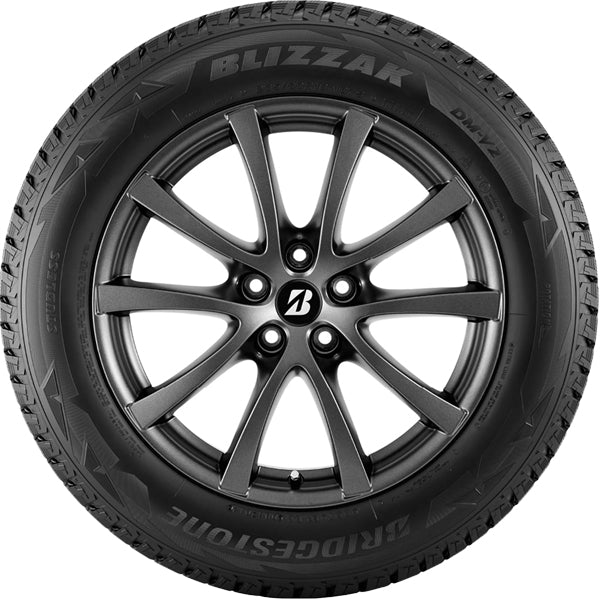 Bridgestone Blizzak DM V2 015-743
