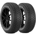 Bridgestone Blizzak DM V2 015-504