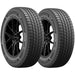 Bridgestone Blizzak IcePeak 008-298