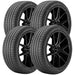 Bridgestone Potenza S005 009-868