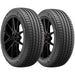 Bridgestone UltraWeather 015-797