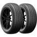 Bridgestone WeatherPeak 006-062