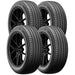 Bridgestone WeatherPeak 009-655