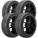 Continental ExtremeContact Sport 02 03125060000