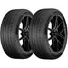 Continental PremiumContact 6 03155610000