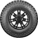 Cooper Evolution M/T 170169008