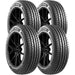 Cosmo TigerTail I-0078002