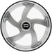 Dazz D105 Bussin D105240008P0022