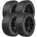 Delinte DX12 Bandit R/T 823922