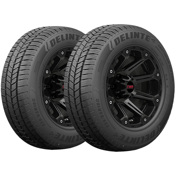 Delinte Centurion 365 LMD 714371