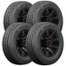 Delinte Centurion 365 LMD 714371
