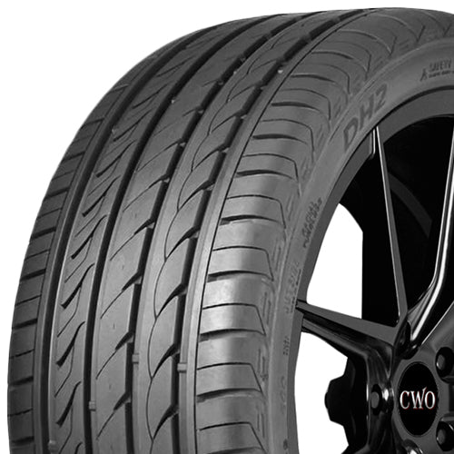 Delinte DH2 201320