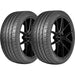 Delinte DH2 203119