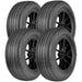 Delinte DH7 400570