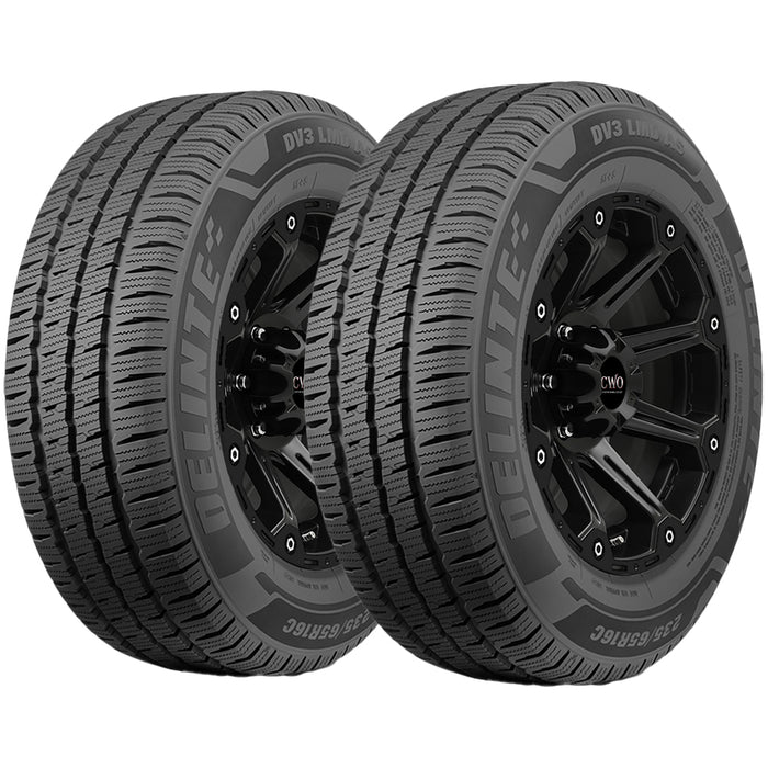 Delinte DV3 LMD AS 863324