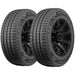 Delinte DV3 LMD AS 863362