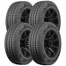 Delinte DV3 LMD AS 863362