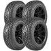 Delinte DX10 Bandit A/T 823786