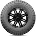 Delinte DX12 Bandit R/T 823977