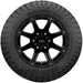 Delinte DX20 Bandit Crossover X/T 841623133849