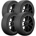 Dunlop Signature HP 264004936