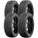 Falken Aklimate 28392406