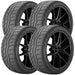 Falken Azenis RT615K+ 28538003