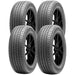 Falken Sincera ST80 A/S 28817361