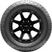 Falken Wildpeak H/T02 28824604