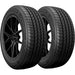 Firestone All Season 020-692