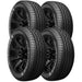 Firestone Destination LE3 005-340
