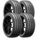 Firestone Firehawk AS V2 014-736