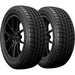 Firestone Weathergrip 011-519