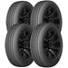 Gladiator All Steel Trailer 1943103866