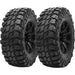 Gladiator X Comp MT 1932263324