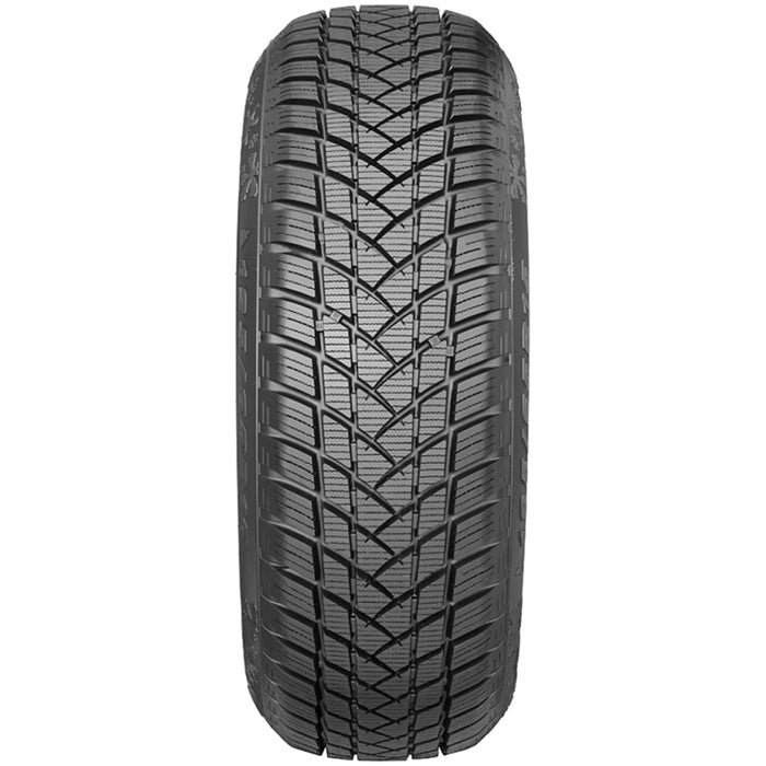 GT Radial WinterPro2 100A5153