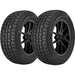 Hercules Avalanche RT 02511