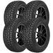 Hercules Avalanche RT 02511