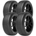 Hercules Raptis R-T6X 98612