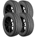 JK Tyre UX Royale Maxx 1161500106