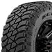 Kelly Edge MT 357015332